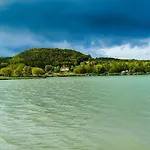 Onix -orfu Aqua